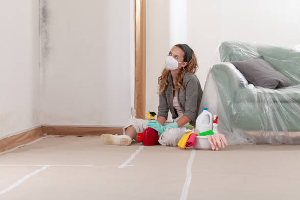 Mold Removal service in Concord
